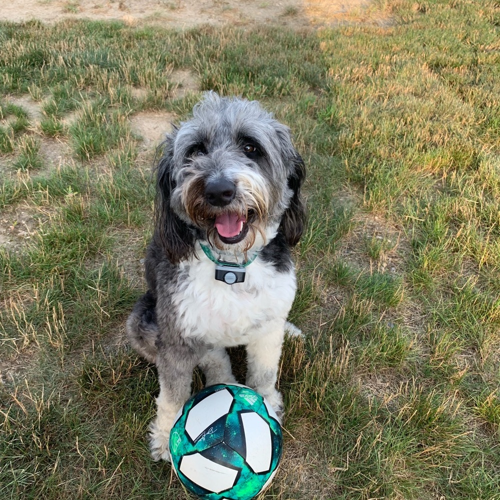 Meet your Posher, Bethany